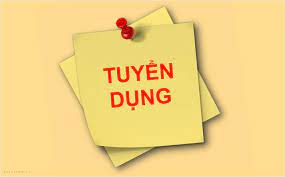 lĩnh vực hoạt động